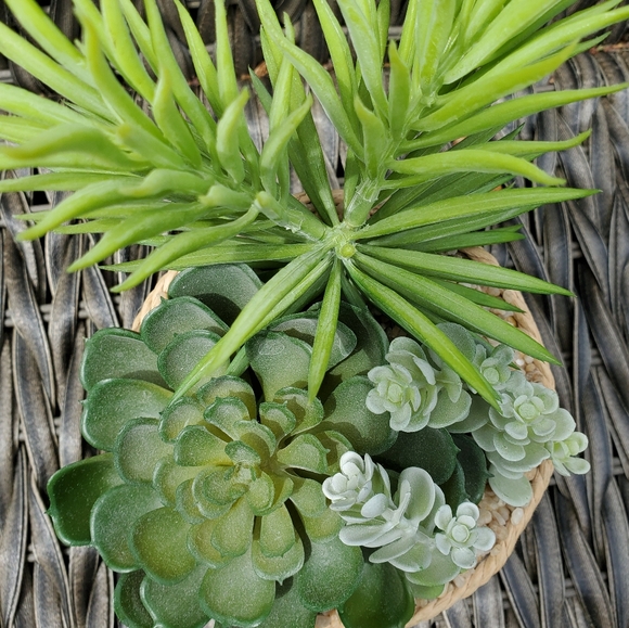 Gorgous Fake Cactus Plant🌵 - Picture 3 of 6